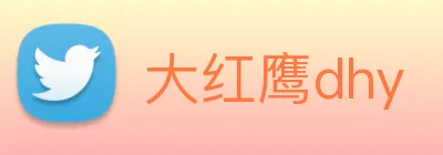 大红鹰dhy logo